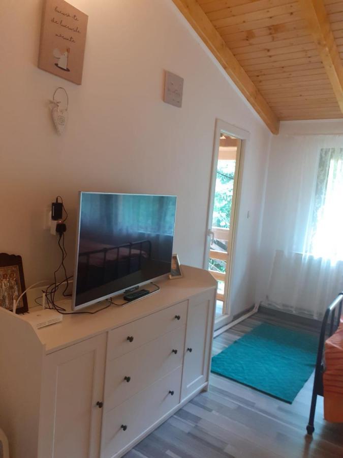 Pensiune Casa Maia Dâmbovicioara