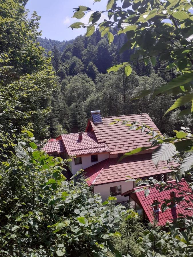 Casa Maia Pensiune *