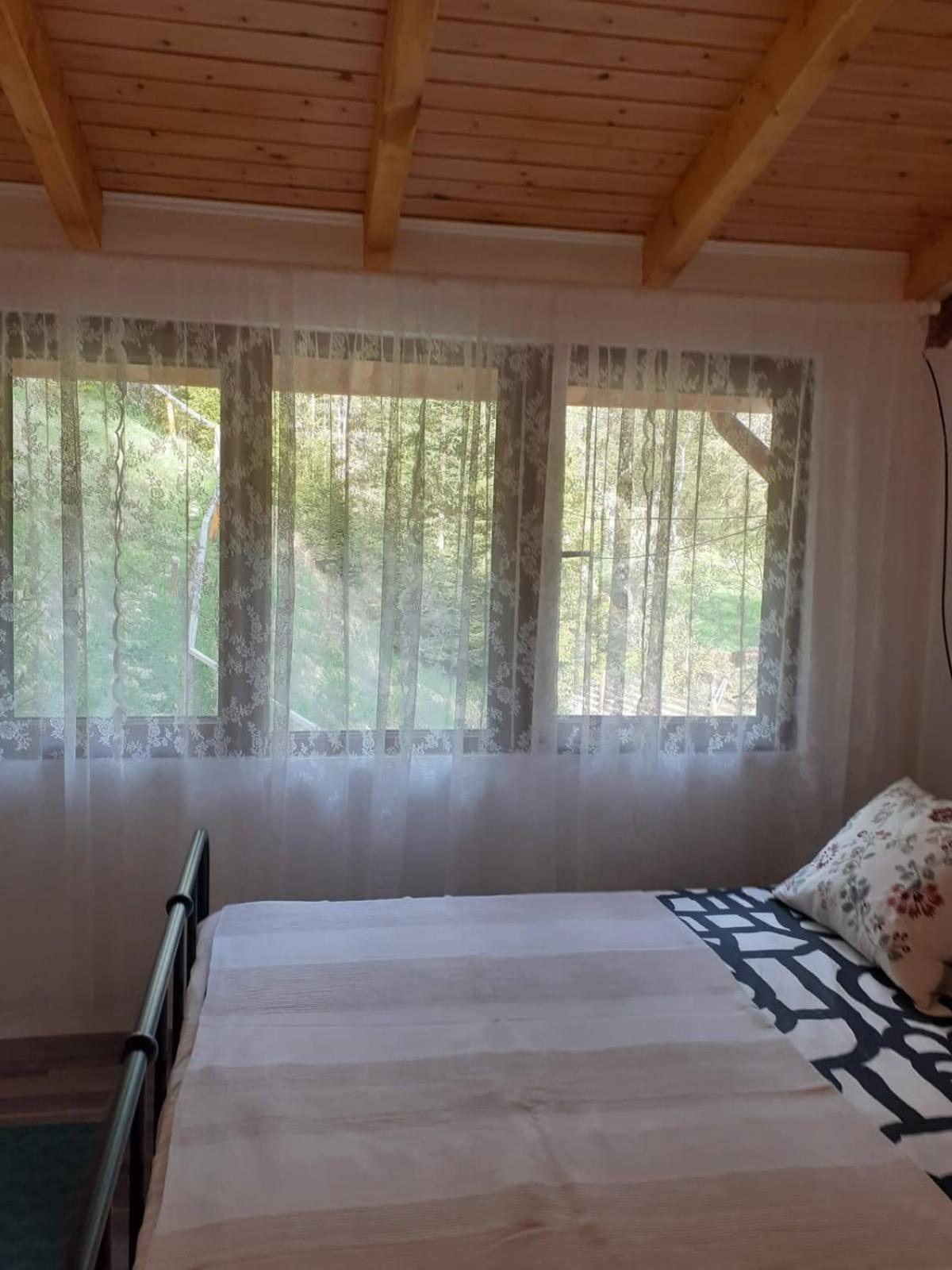 Pensiune Casa Maia Dâmbovicioara